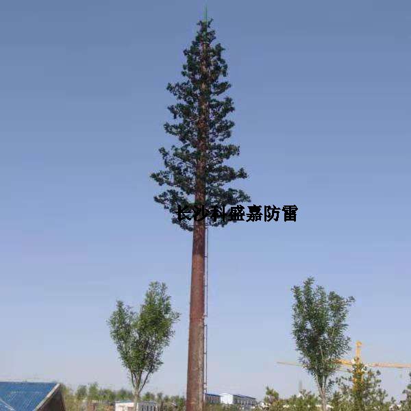 這是什么？看到圖先猜猜再進來，猜對了的都是公雞中的戰(zhàn)斗機